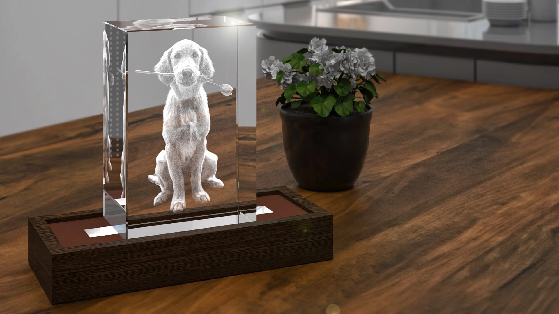 3d product mock up 3d product mock up