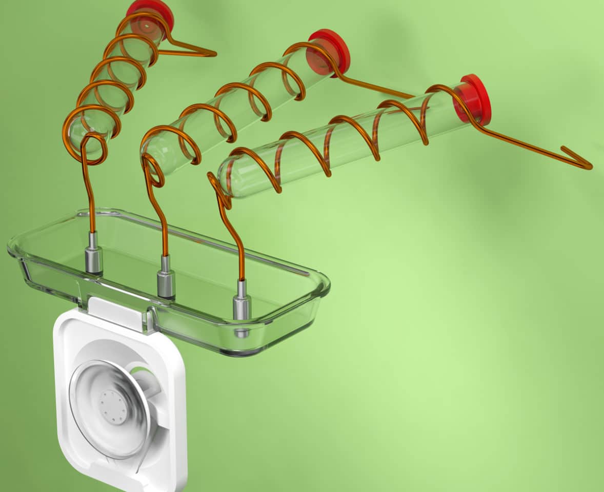 3D render Hummingbird Feeder